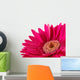 Up Pink Gerber Daisy Wall Decal