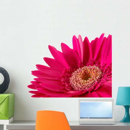Up Pink Gerber Daisy Wall Decal