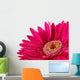 Up Pink Gerber Daisy Wall Decal
