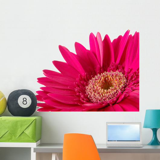 Up Pink Gerber Daisy Wall Decal