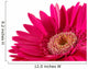 Up Pink Gerber Daisy Wall Decal