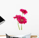 Pink Gerber Daisies Wall Decal