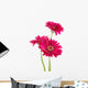 Pink Gerber Daisies Wall Decal