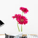 Pink Gerber Daisies Wall Decal