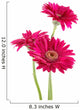 Pink Gerber Daisies Wall Decal