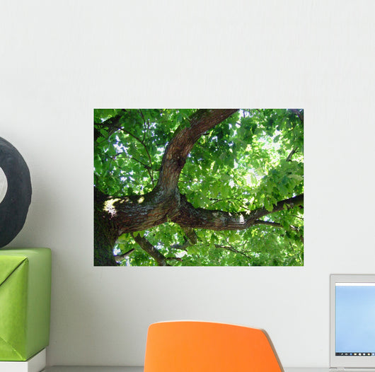 Eiche Wall Decal