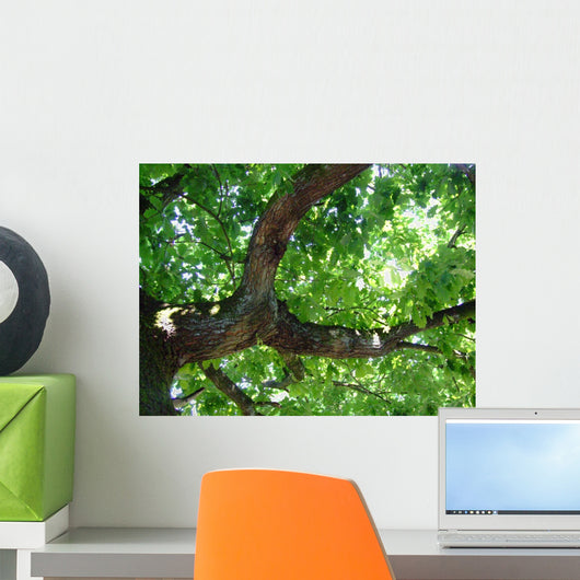 Eiche Wall Decal