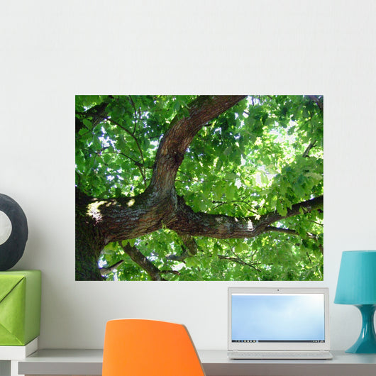 Eiche Wall Decal