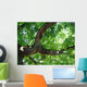Eiche Wall Decal