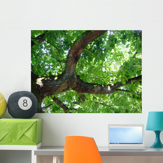 Eiche Wall Decal