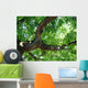 Eiche Wall Decal