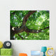 Eiche Wall Decal