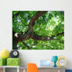 Eiche Wall Decal
