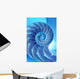 Split Nautilus Seashell Showing Wall Decal