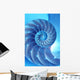 Split Nautilus Seashell Showing Wall Decal