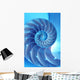Split Nautilus Seashell Showing Wall Decal
