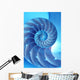 Split Nautilus Seashell Showing Wall Decal