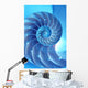 Split Nautilus Seashell Showing Wall Decal