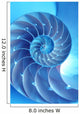 Split Nautilus Seashell Showing Wall Decal