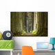 Nature Pathway Wall Decal