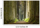 Nature Pathway Wall Decal