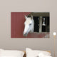 White Horse Sticking Head Wall Decal