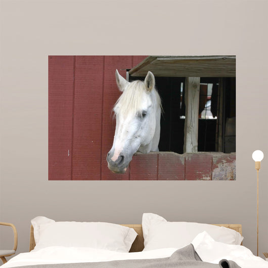 White Horse Sticking Head Wall Decal