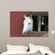 White Horse Sticking Head Wall Decal