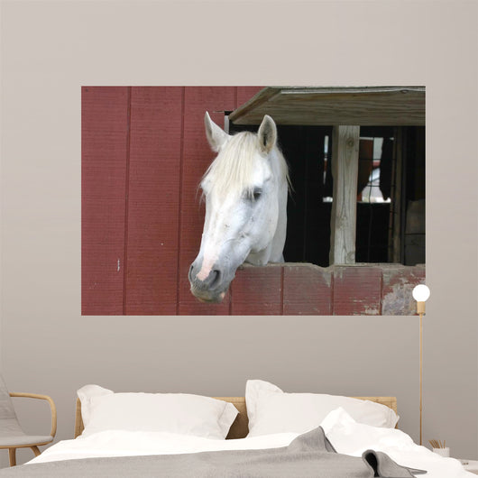 White Horse Sticking Head Wall Decal