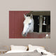 White Horse Sticking Head Wall Decal