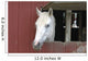 White Horse Sticking Head Wall Decal
