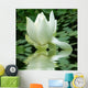 Lotus Wall Decal