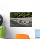 Komodo Dragons Waterline Indonesia Wall Decal