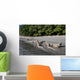 Komodo Dragons Waterline Indonesia Wall Decal