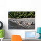 Komodo Dragons Waterline Indonesia Wall Decal