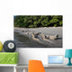 Komodo Dragons Waterline Indonesia Wall Decal