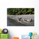 Komodo Dragons Waterline Indonesia Wall Decal