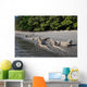 Komodo Dragons Waterline Indonesia Wall Decal