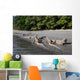 Komodo Dragons Waterline Indonesia Wall Decal
