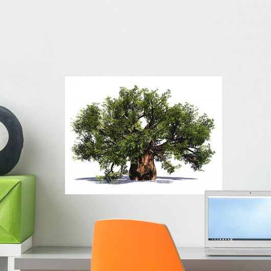 Huge Baobab Tree Wall Decal