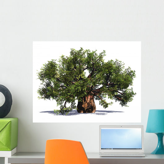 Huge Baobab Tree Wall Decal
