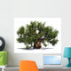 Huge Baobab Tree Wall Decal