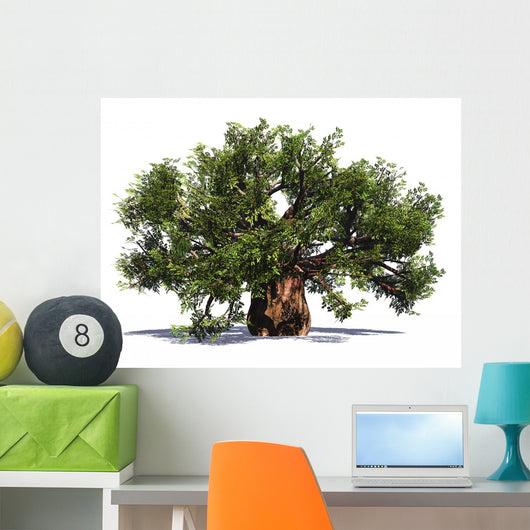 Huge Baobab Tree Wall Decal