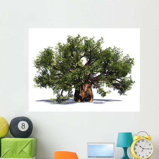 Huge Baobab Tree Wall Decal