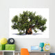 Huge Baobab Tree Wall Decal