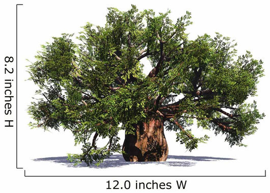 Huge Baobab Tree Wall Decal