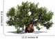 Huge Baobab Tree Wall Decal