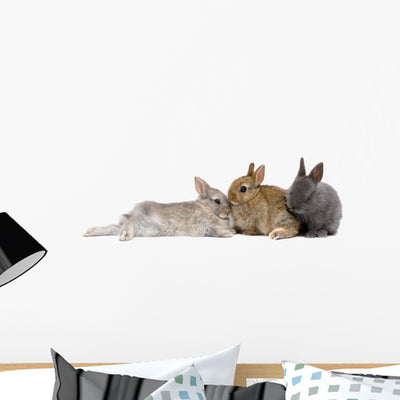 Three Bunnies Wall Decal Panoramic shown on a wall