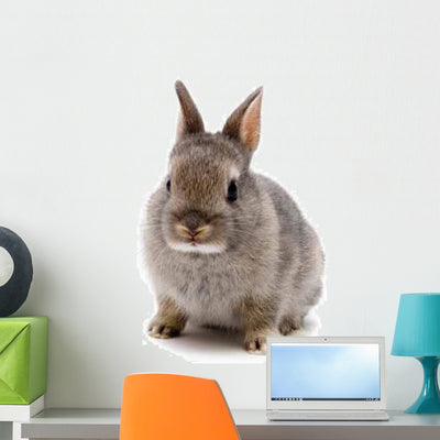 Bunny Wall Decal shown on a wall