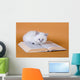 White Masquerade Kitten Reading Wall Decal